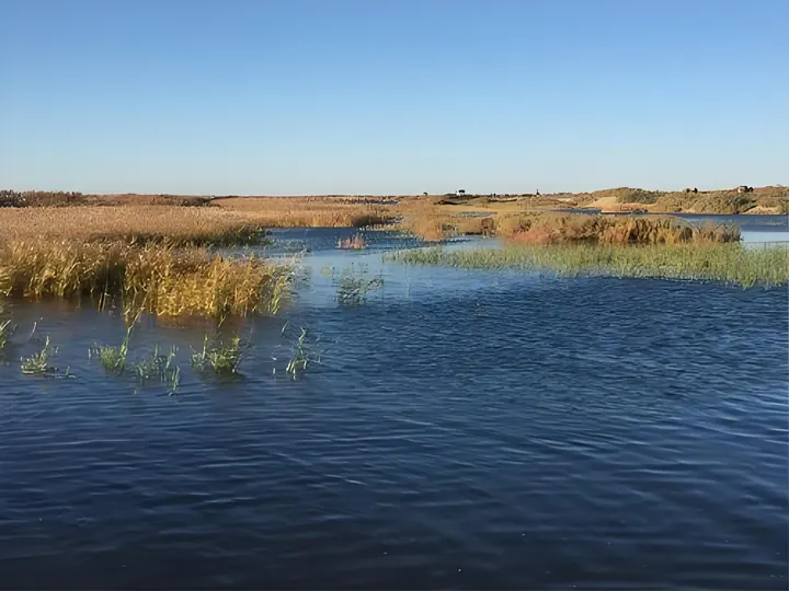 Open wetland water with sparse reeds beneath a clear sky